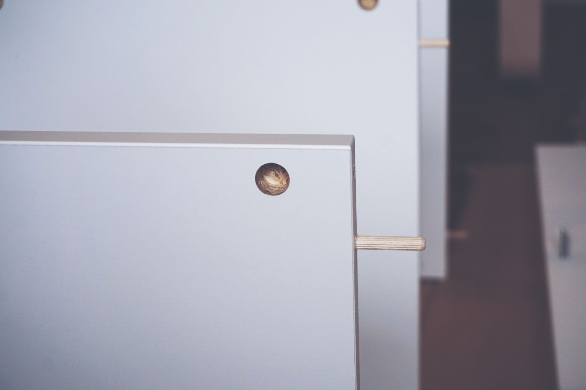 Close view of a cabinet with a round handle